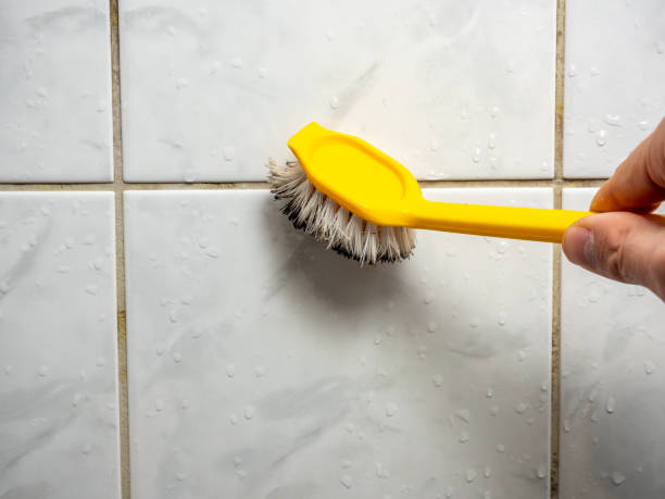 Best Commercial Mold Removal  in Brooklyn, NY